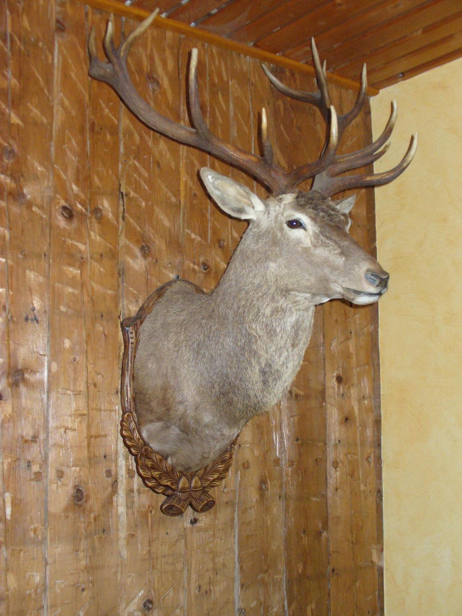 Zum Roten Hirsch Im Gruenen Wald Saalfeld Saale Exterior photo